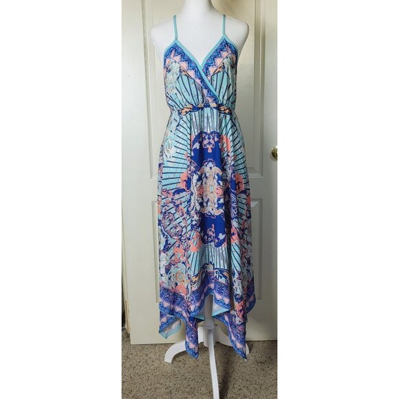 Jealous Tomato Dresses & Skirts - Jealous Tomato Bohemian Style Maxi Dress Size Medium